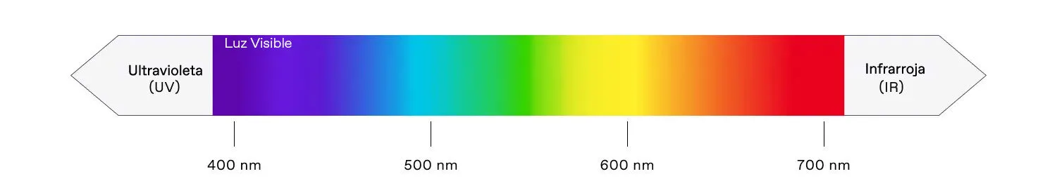 El espectro de luz incluye luz ultravioleta, visible e infrarroja.
